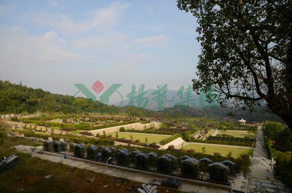 1-220209110423W1 Z6·尊龙凯时「中国区」官方网站