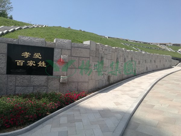 1-2202140RSIY Z6·尊龙凯时「中国区」官方网站