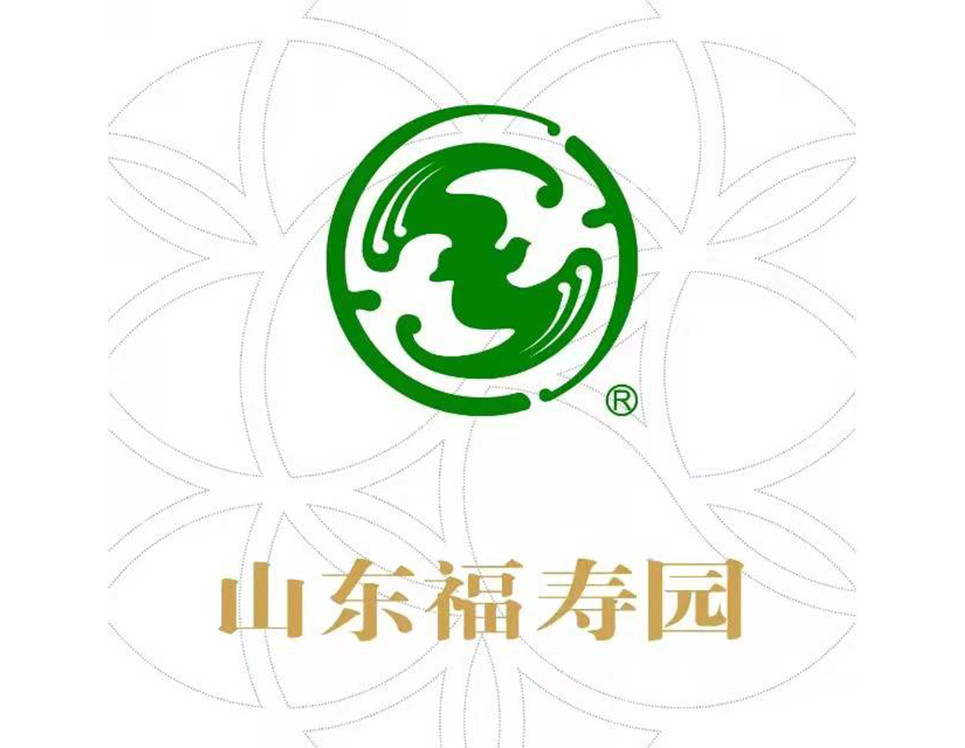 1-21121Q3231E50 Z6·尊龙凯时「中国区」官方网站
