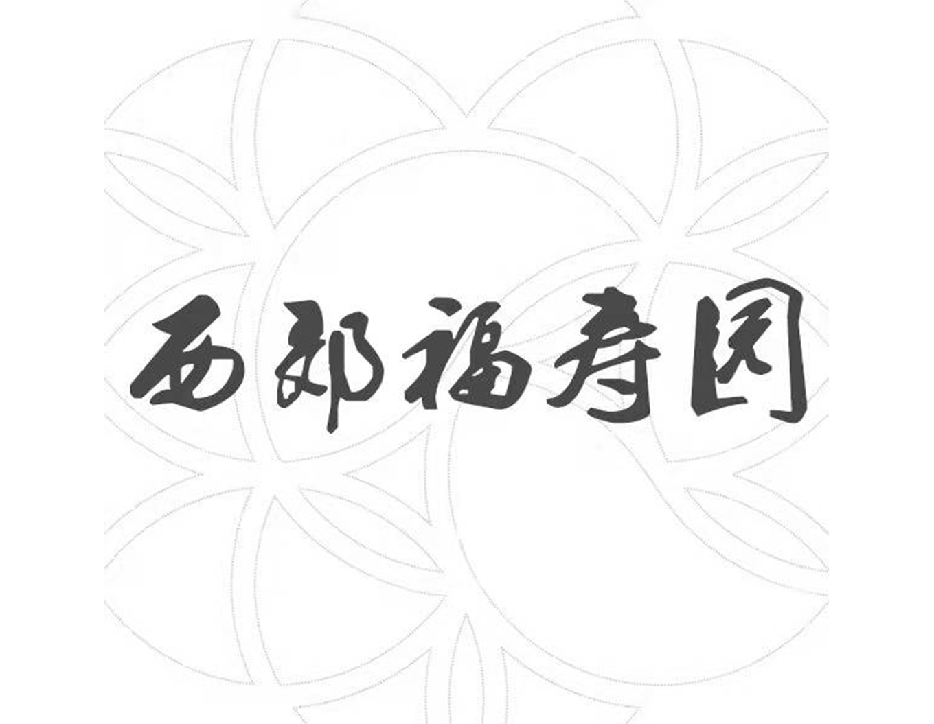 1-21121Q32450M4 Z6·尊龙凯时「中国区」官方网站