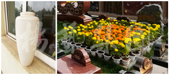 1-23050Q51042111 Z6·尊龙凯时「中国区」官方网站