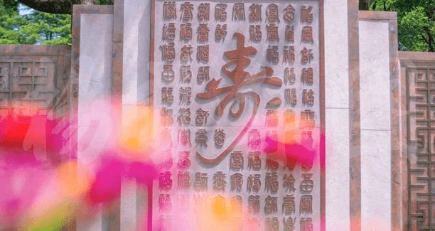 1-23050Q61303491 Z6·尊龙凯时「中国区」官方网站