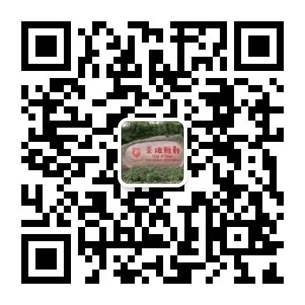 1-2510300R05G38 Z6·尊龙凯时「中国区」官方网站